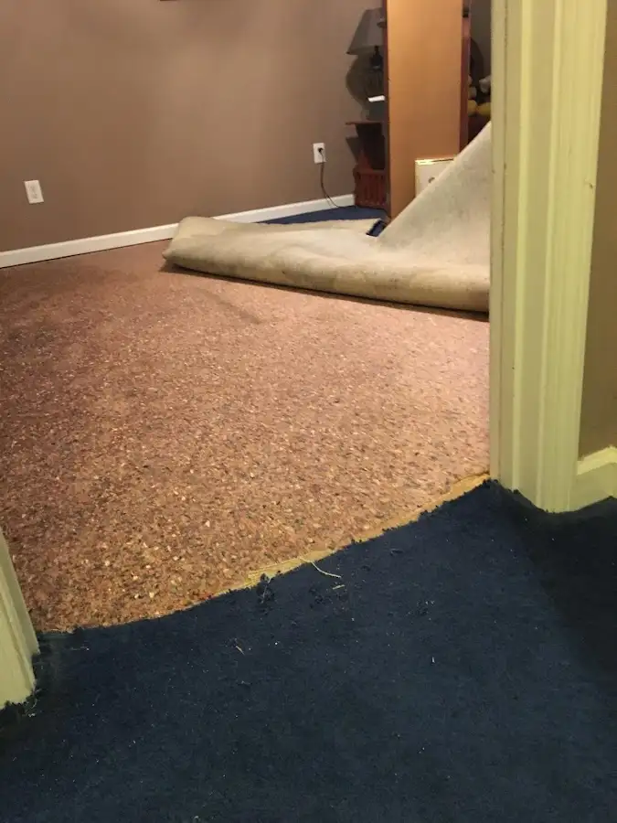 Carpet pad removal revealing water damage during Drying & Dehumidification in Florence