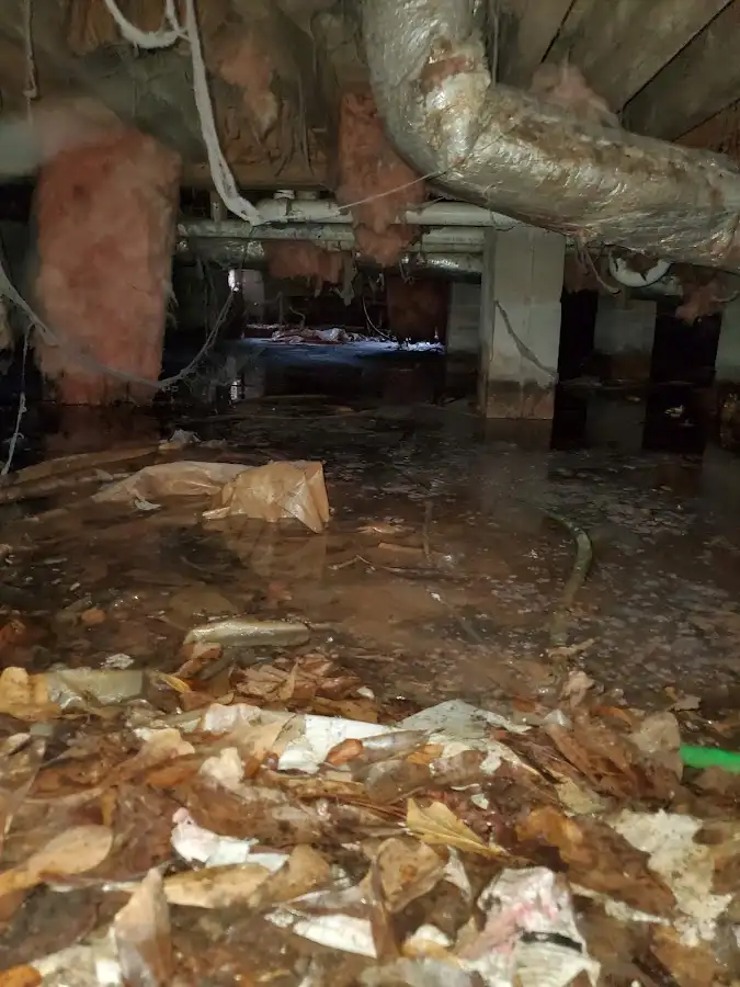 Crawl space flood assessment for Leak Detection & Repair in Florence